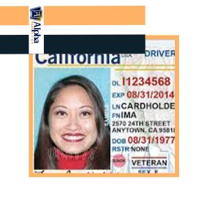 DRIVER LICENSE LOOKUP FOR ALL STATES