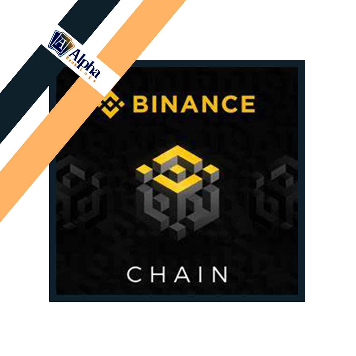 USA Binance Account + Email Access + Number Access + Fullz