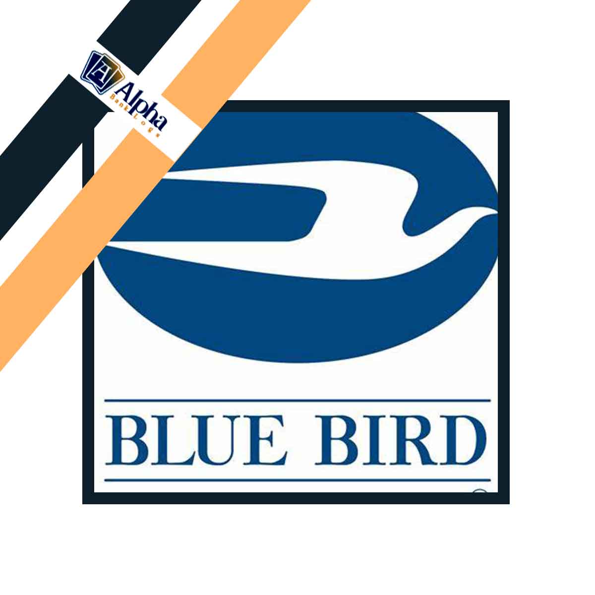 US Verified Bluebird Drop Account