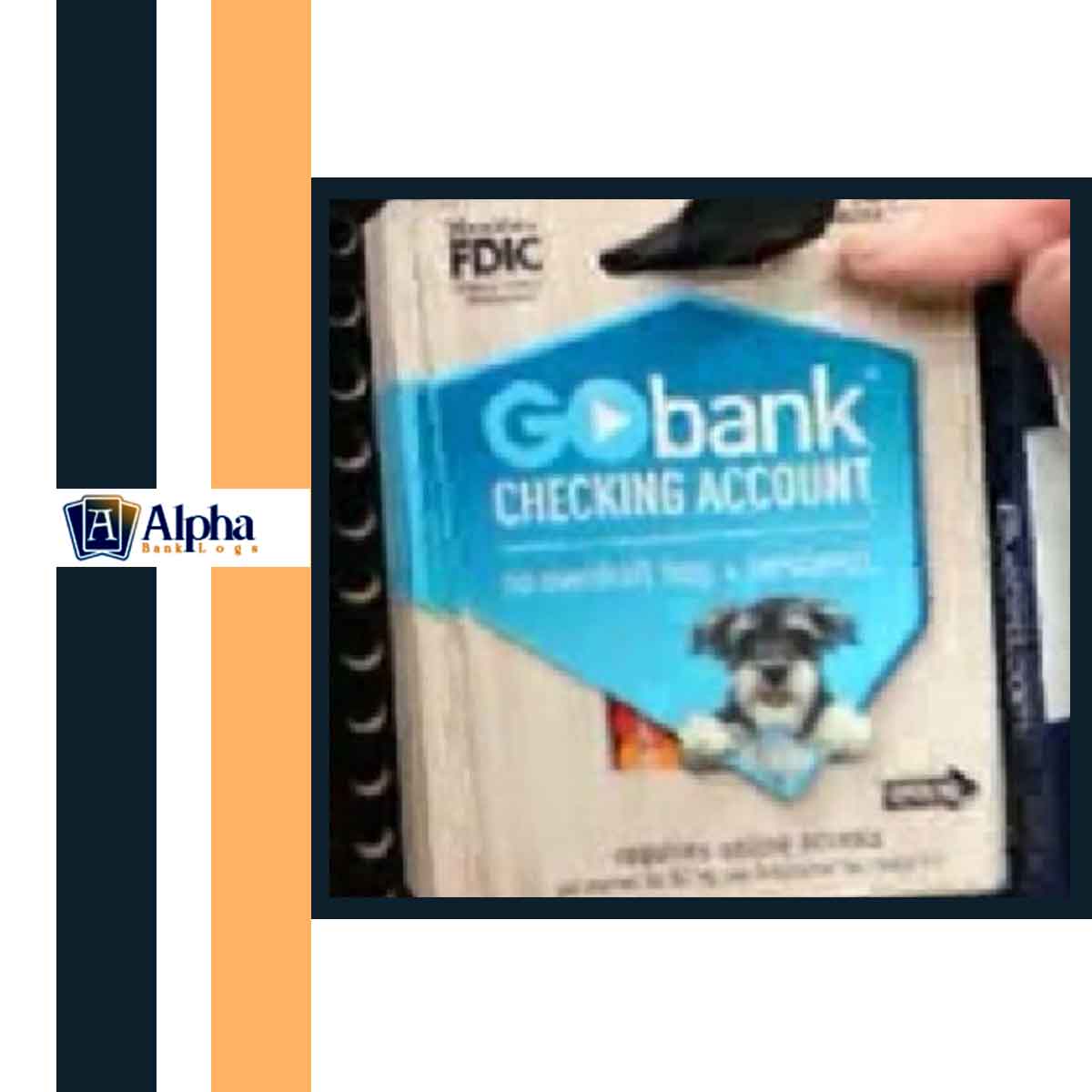 gobank account + VBA.