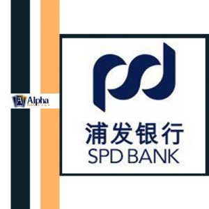 Shanghai Pudong Development Bank Login – China Bank Logs